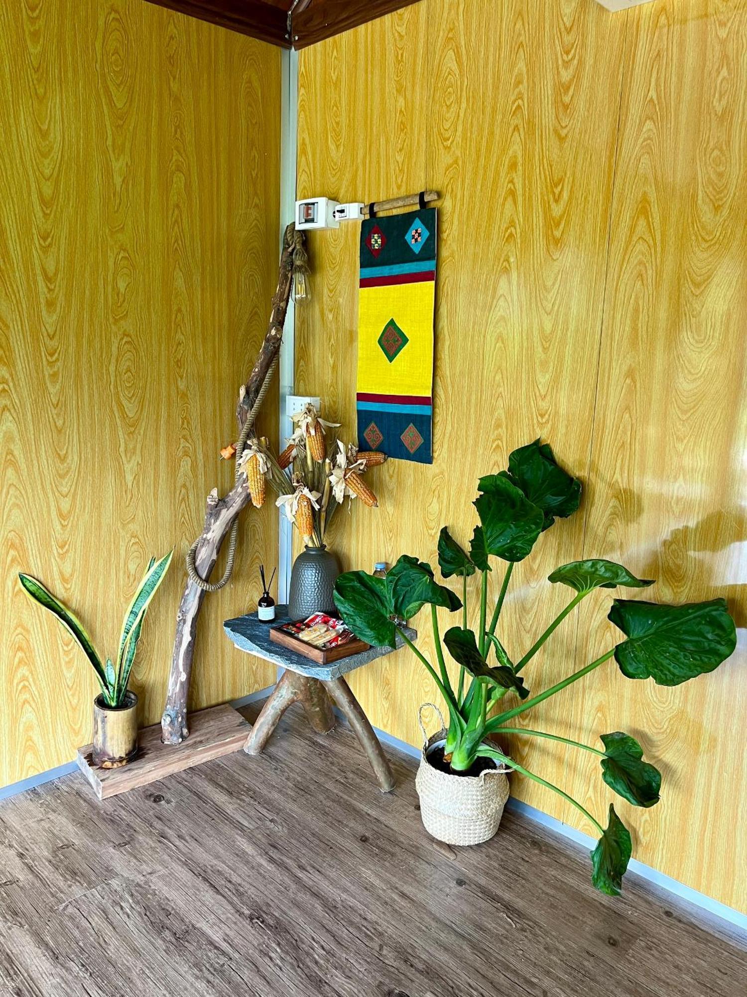 ハザンAn'S Houseアパートメント エクステリア 写真